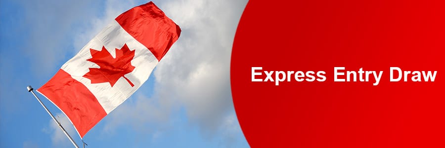 Canada invites 341 PNP candidates in latest express entry (EE) draw - Can X  Immigration