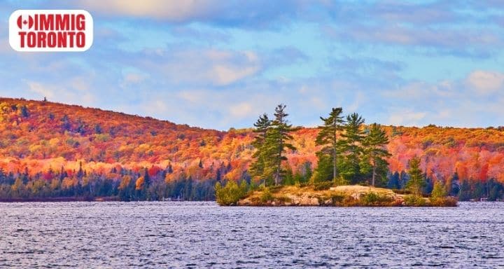 New Brunswick Overhauls Provincial Immigration Pathways